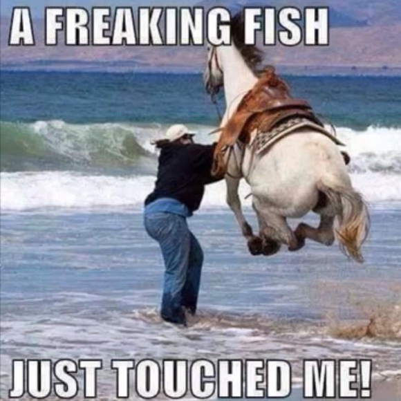 Meet your Posher, Nicola - Picture 9 of 15